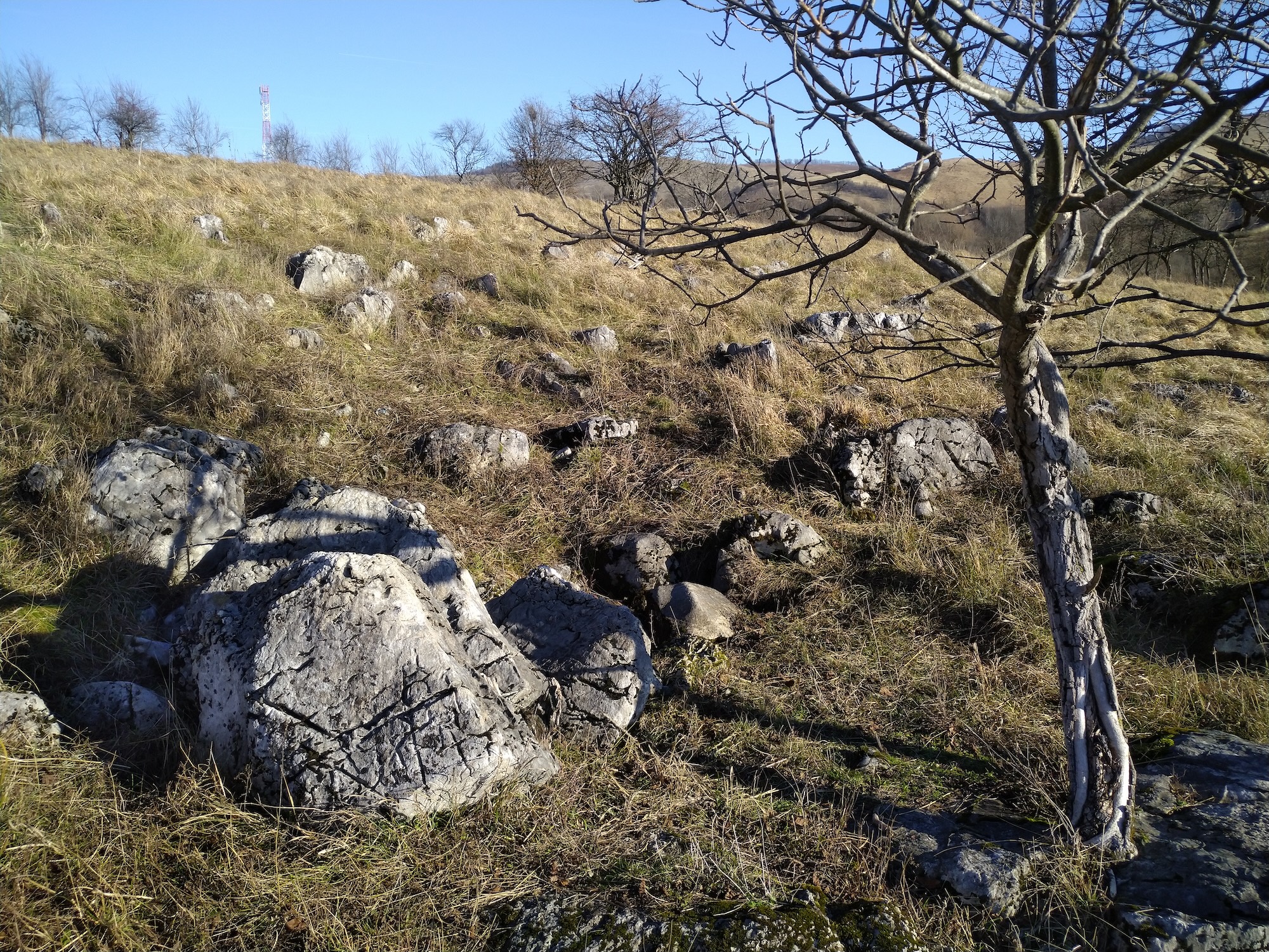 Avenul din Tufa - Image 4